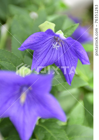 智造院 智造院 76351263