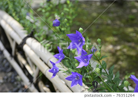 智造院 智造院 76351264