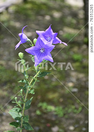 智造院 智造院 76351265