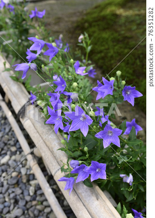 智造院 智造院 76351282