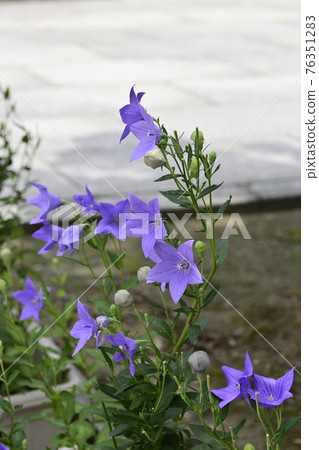 智造院 智造院 76351283