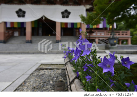 智造院 智造院 76351284