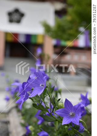 智造院 智造院 76351287