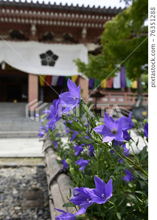 智造院 智造院 76351288