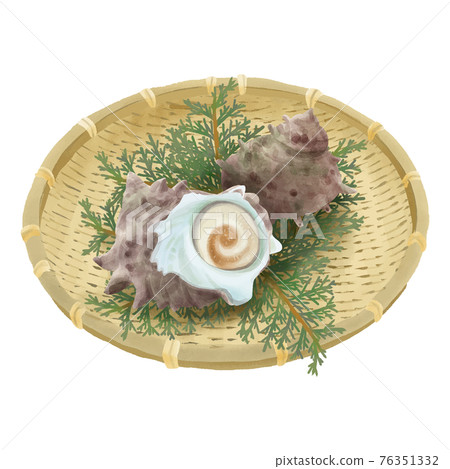 Watercolor touch Sazae with shell on bamboo colander and hiba leaves Watercolor touch Sazae with shell on bamboo colander and hiba leaves 76351332