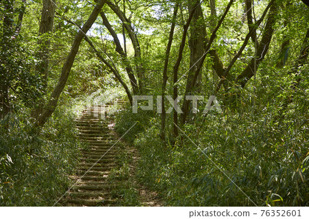 Mountain road 76352601