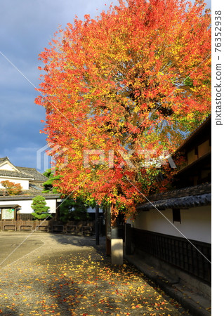 倉敷美觀地區,傳統街景 倉敷美觀地區,傳統街景 76352938