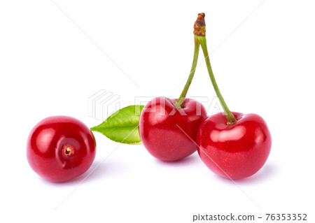 sweet cherry fruits isolated on white background sweet cherry fruits isolated on white background 76353352