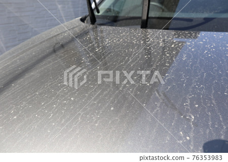 Car hood with pollen and yellow sand 76353983