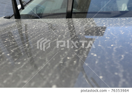 有花粉和黃沙的汽車罩 有花粉和黃沙的汽車罩 76353984
