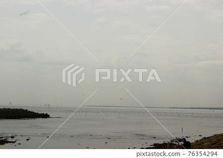 Spring sea 76354294
