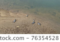 A turtle that hangs out in the river 76354528