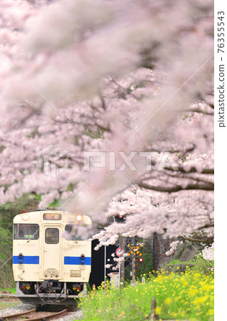 春季常彥山3號線 春季常彥山3號線 76355543