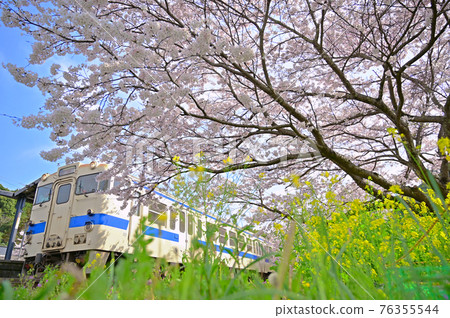 春天常彥山4號線 春天常彥山4號線 76355544