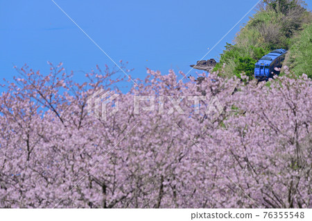 春天大村1號線 76355548