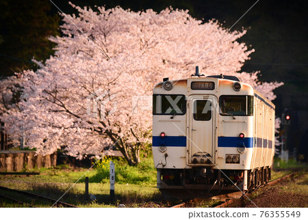 Spring Hitahikosan Line 6 76355549