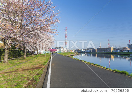 鶴見川的景色和櫻花[神奈川縣橫濱市] 76356206