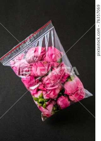 Environmental pollution concept. Flower in a plastic bag. Danger problem. Environmental conservation. Ecological lifestyle Environmental pollution concept. Flower in a plastic bag. Danger problem. Environmental conservation. Ecological lifestyle 76357069