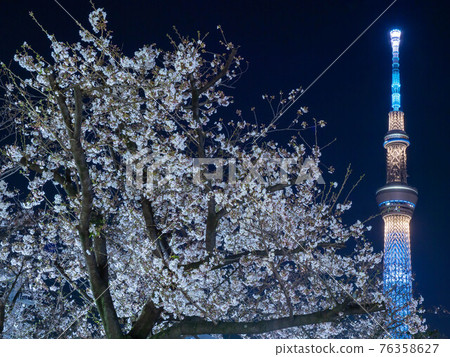 三月淺草，東京東京天空樹照明和櫻花 76358627