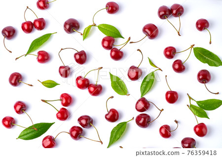 sweet cherry fruits isolated on white background sweet cherry fruits isolated on white background 76359418