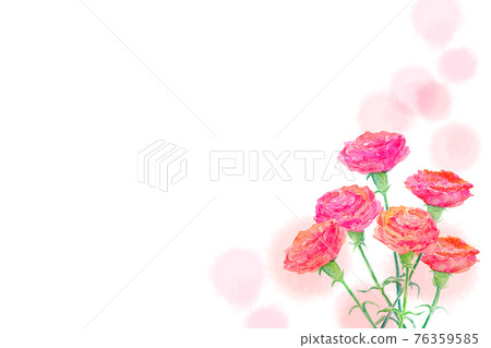 Carnation mothers day watercolor illustration 76359585