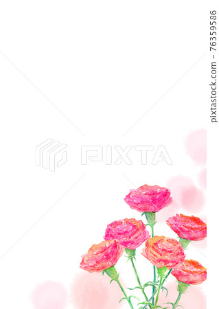 Carnation mothers day watercolor illustration 76359586