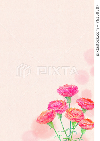 康乃馨母親節水彩插圖 康乃馨母親節水彩插圖 76359587