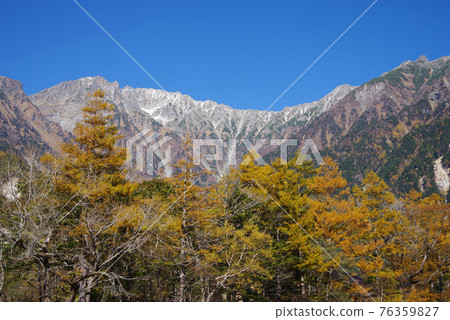 秋天的上高地【彩色落葉松和穗高山脈】 76359827