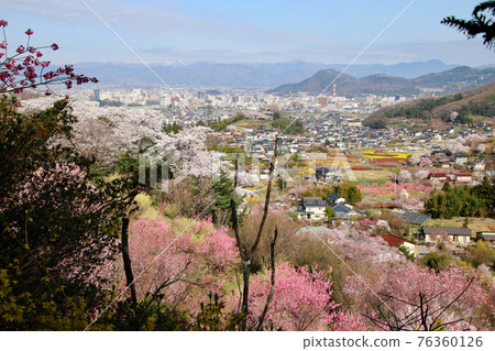 Hanamiyama / Sakura / Fukushima City distant view (Fukushima Prefecture / Fukushima City) Hanamiyama / Sakura / Fukushima City distant view (Fukushima Prefecture / Fukushima City) 76360126