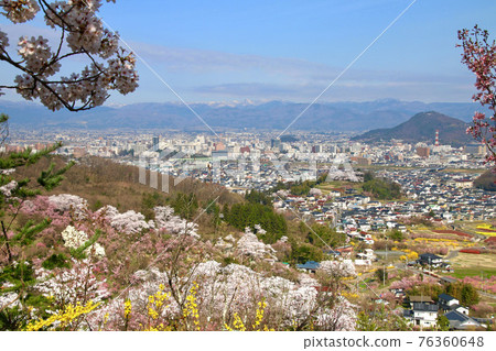 Hanamiyama / Sakura / Fukushima City distant view (Fukushima Prefecture / Fukushima City) 76360648