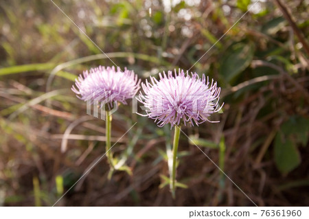 2 Dec 2006 the landscape of the High Junk Peak, hk 76361960