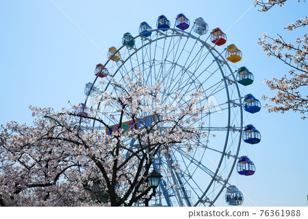 新的摩天輪和盛開的櫻花在荒川遊樂園試運行中 新的摩天輪和盛開的櫻花在荒川遊樂園試運行中 76361988