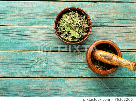 Orthilia secunda,healing herbs on wooden table,copy space, 76362206