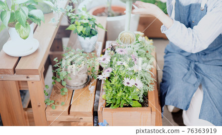 A woman watering a plunder on her balcony at home A woman watering a plunder on her balcony at home 76363919