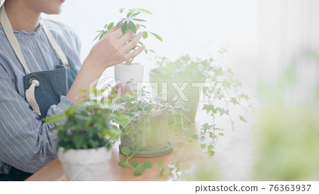 A woman grooming foliage plants indoors A woman grooming foliage plants indoors 76363937