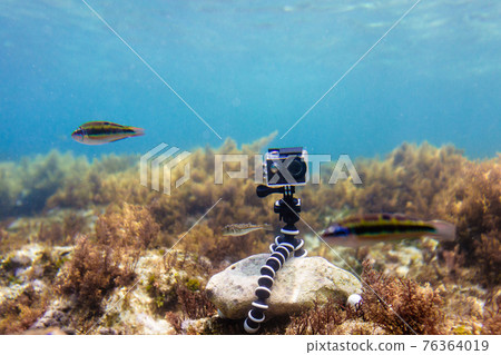 Using camera in waterproof box on a tripod to make photos and video from the bottom of the sea Using camera in waterproof box on a tripod to make photos and video from the bottom of the sea 76364019