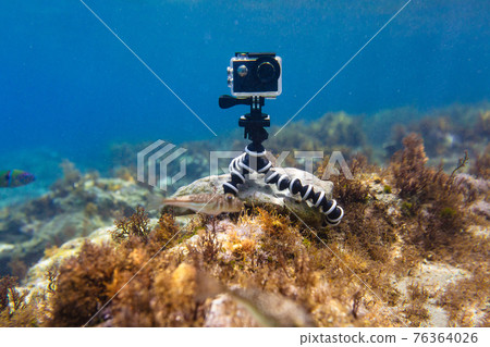Using camera in waterproof box on a tripod to make photos and video from the bottom of the sea Using camera in waterproof box on a tripod to make photos and video from the bottom of the sea 76364026