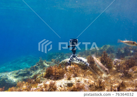 Using camera in waterproof box on a tripod to make photos and video from the bottom of the sea Using camera in waterproof box on a tripod to make photos and video from the bottom of the sea 76364032
