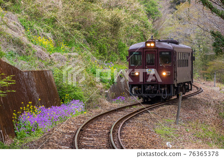 Spring Watarase Valley Railway 76365378