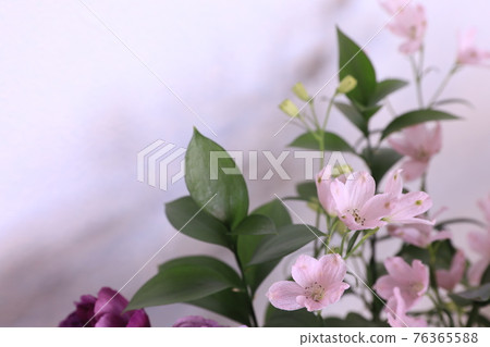 Delphinium and Ruscus Delphinium and Ruscus 76365588