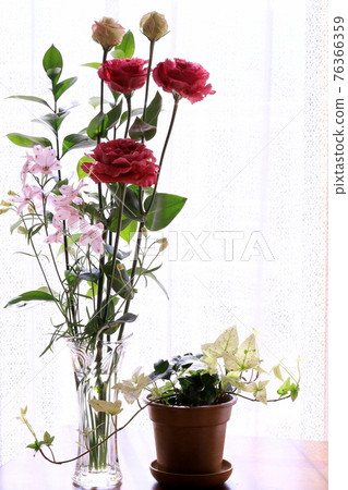 Arrangement of Turkey 76366359