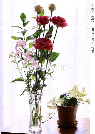 Arrangement of Turkey Arrangement of Turkey 76366360