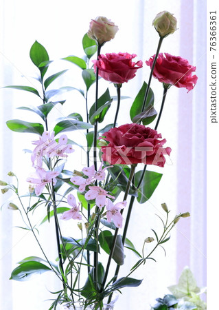 Arrangement of Turkey 76366361