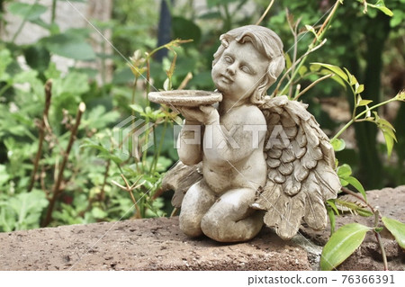 Statue of an angel in the garden 76366391
