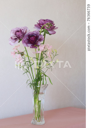 Ranunculus 76366739