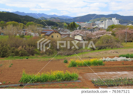 春天的諸山町 春天的諸山町 76367521