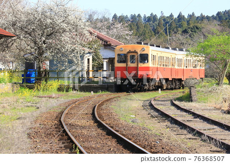 Kominato Tetsudo "Sakura Blooming Spring Kazusa Tsurumai Station and Train" Kominato Tetsudo "Sakura Blooming Spring Kazusa Tsurumai Station and Train" 76368507