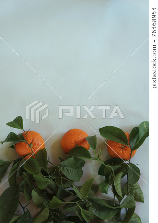 Clementines tangerines, twig with green leaves as spring decor on gray paper background. Clementines tangerines, twig with green leaves as spring decor on gray paper background. 76368953