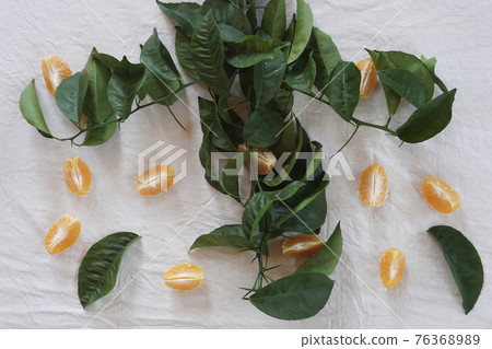 Clementines tangerines and twig with green leaves as spring decor on white cloth background. Clementines tangerines and twig with green leaves as spring decor on white cloth background. 76368989