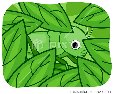 Grasshopper Camouflage Leaves Illustration Grasshopper Camouflage Leaves Illustration 76369053